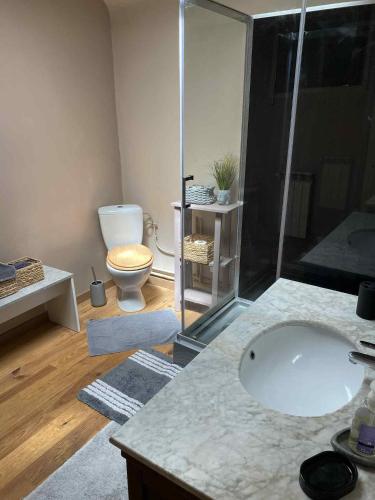 a bathroom with a sink and a shower and a toilet at Relais Ganderats in Came