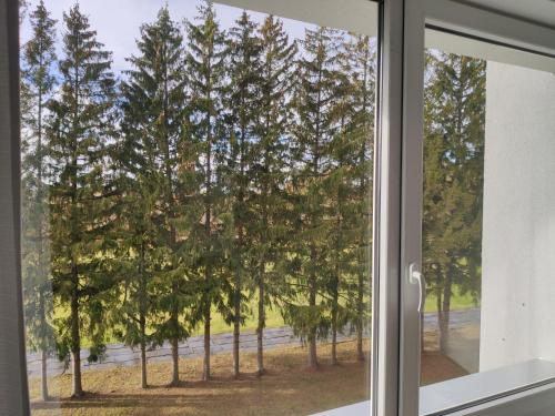 a window with a view of a group of trees at Rasa in Marijampolė