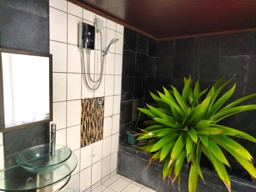 Ένα μπάνιο στο Agua Luna by the beach