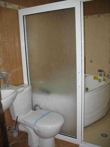 a bathroom with a toilet and a shower and a sink at Sivrieva House in Zlatograd