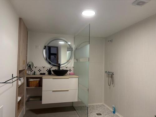 a bathroom with a sink and a mirror at La Belle Mélusine in Bergheim
