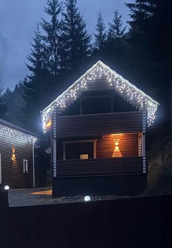 een huis met lichten aan de zijkant 's nachts bij Гірська роса 2 in Synevyrsʼka Polyana