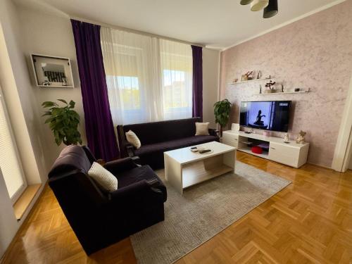 a living room with a couch and a tv at Apartman EMA in Požarevac