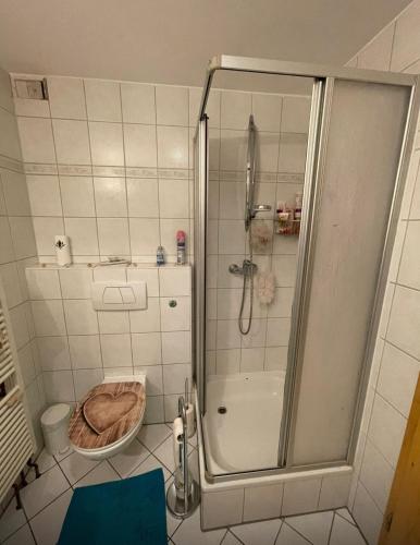 a bathroom with a shower and a toilet at Ferienwohnung im Grünen, nähe Nürnberg in Lichtenau