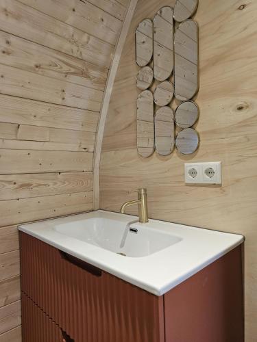 a bathroom with a sink and two slippers on the wall at Tiny House De Hagekrûper in Westergeest