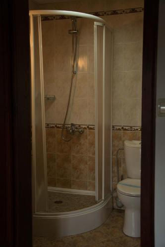 a bathroom with a shower and a toilet at Pachilov House in Zlatograd