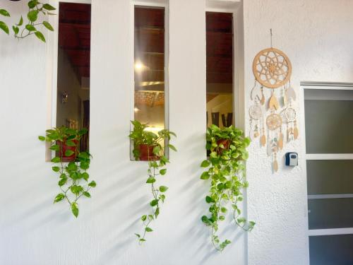 Φωτογραφία από το άλμπουμ του Palapa Chili # σε Sayulita