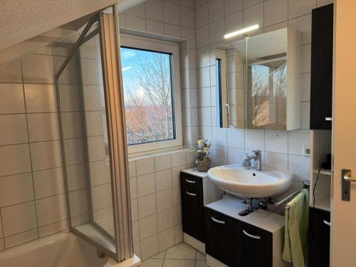 a bathroom with a sink and a shower at Schöne Wohnung mit Aussicht in Oettingen in Bayern