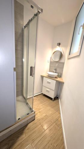 a bathroom with a shower and a sink at Le Nid Auxerrois in Auxerre