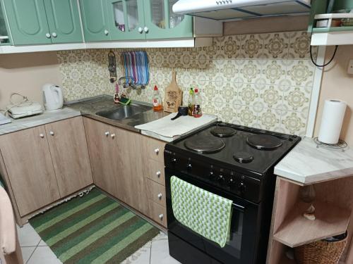 a kitchen with a black stove top oven next to a counter at Όμορφο φυσικό περιβάλλον in Filippiada