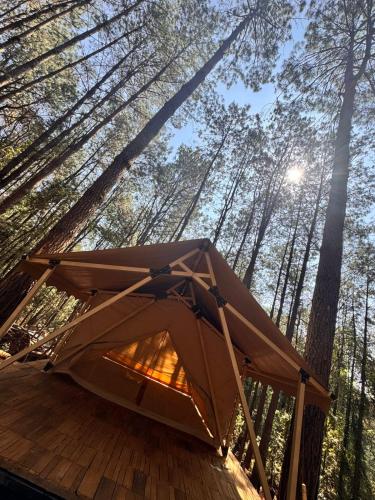 a canvas tent on a deck in the woods at Lattitude Glamp Avandaro in Valle de Bravo