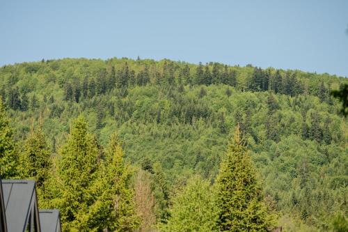 a view of a forest of trees on a hill at Korbielów 6 in Korbielów