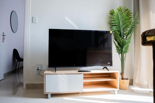 TV a/nebo společenská místnost v ubytování Modern two-bedroom apartment