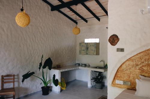 a room with a fireplace and two potted plants at Birds of Paradise Surf and Yoga Boutique & Retreat in Weligama