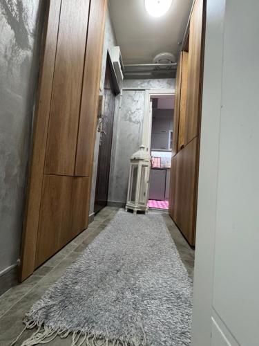 a hallway with wooden doors and a rug on the floor at Analadyboss in Leskovac