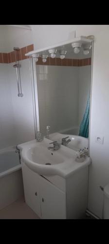 Koupelna v ubytování L,orchidée