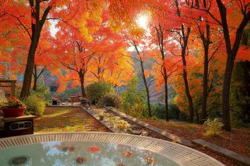 Zahrada ubytování Chillinn Tündérliget Boutique Wellness Egerszalók