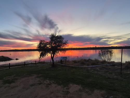 een boom aan de oever van een meer bij zonsondergang bij Casas rurales La Colada in El Viso