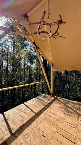 a tent on a deck with a view of the woods at Lattitude Glamp Avandaro in Valle de Bravo