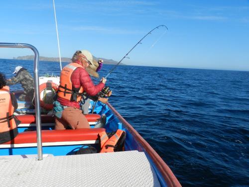 Hosté ubytování Casa Tamarindo