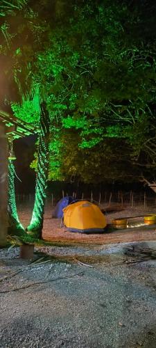 two tents are sitting under a tree at night at Abrigo Quixadá in Quixadá