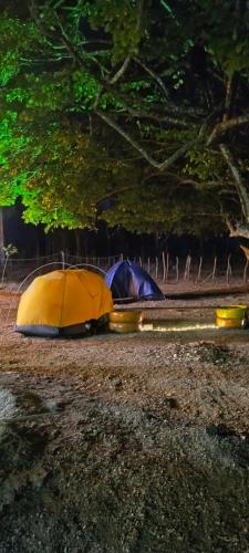 two tents are sitting on the ground in a field at Abrigo Quixadá in Quixadá