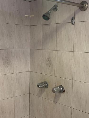 a shower with a glass door with a shower head at Condomino Maripina in Arena