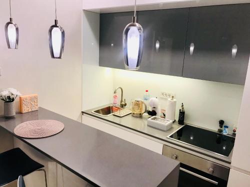 Η κουζίνα ή μικρή κουζίνα στο LIRRA LUXE - Central Belgrade Apartments