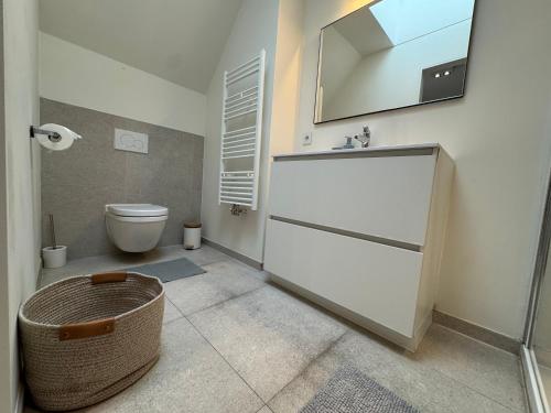 a bathroom with a toilet and a mirror at Spacious and Design Loft in Brussels