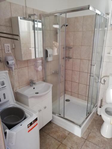 a bathroom with a shower and a sink and a toilet at Pecó Kecó in Ráckeve