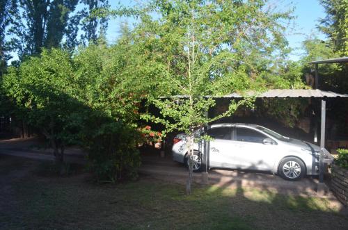 ein weißes Auto, das auf einem Hof neben einem Baum parkt in der Unterkunft Casa rústica en zona de bodegas amplio jardín pileta fogón y churrasqueara in Ciudad Lujan de Cuyo