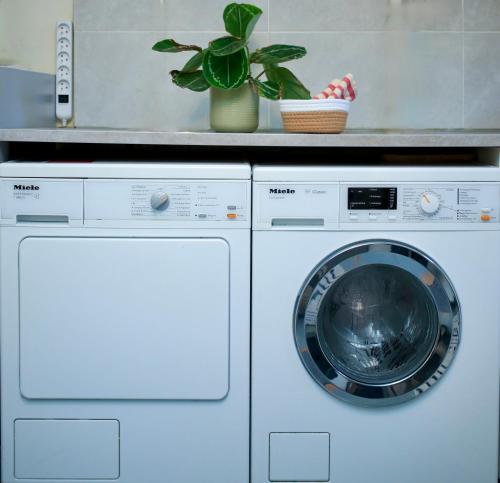 a washer and dryer in a kitchen with a plant at House with garden 30 minutes to Disneyland and center of Paris in Montreuil
