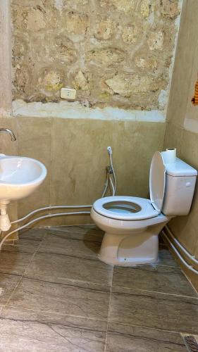 a bathroom with a toilet and a sink at Dar Fatma Toujane in Tūjān