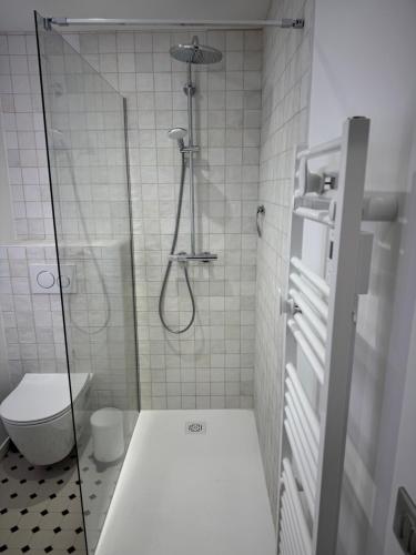 a small bathroom with a shower and a toilet at Maison Popeline in Les Andelys