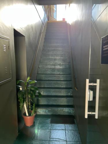 a staircase with a potted plant in a building at Hotel Imperial in Toledo
