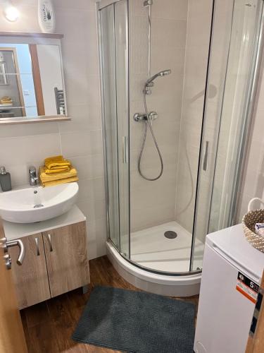 Ένα μπάνιο στο Apartmán Tília Bešeňová