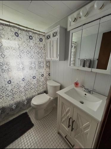 a bathroom with a white toilet and a sink at Home in Arrowhead Lake Pocono PA - Lake Access, Hot Tub, Fire Pit, and Amenities Included in Arrowhead Lake