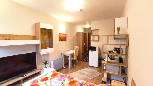 Η κουζίνα ή μικρή κουζίνα στο Tulip Studio Deluxe, Grand Resort Pamporovo