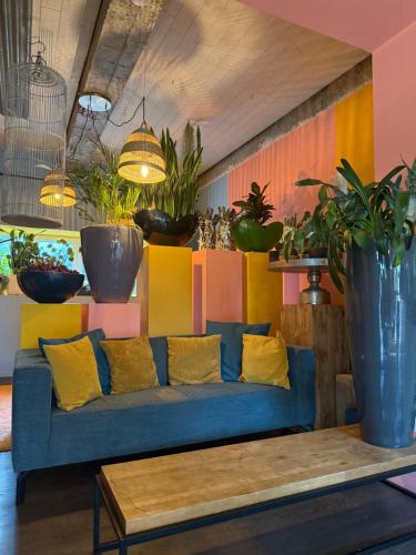 a blue couch in a room with potted plants at Plantkot, a cozy apartment full of plants of tinykot in Keerselaar
