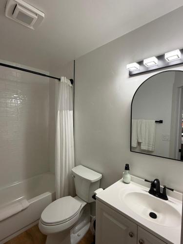 a bathroom with a toilet and a sink and a mirror at Lone Eagle Lodge in Grand Lake