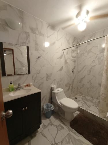 un bagno con WC, lavandino e doccia di Suites Fenicia a Playa del Carmen