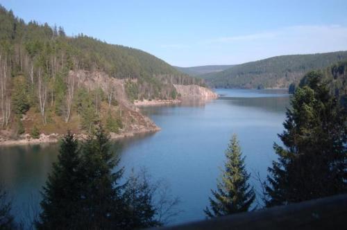 a view of a lake with trees on the side at Thüringer Landhaus in Gehlberg