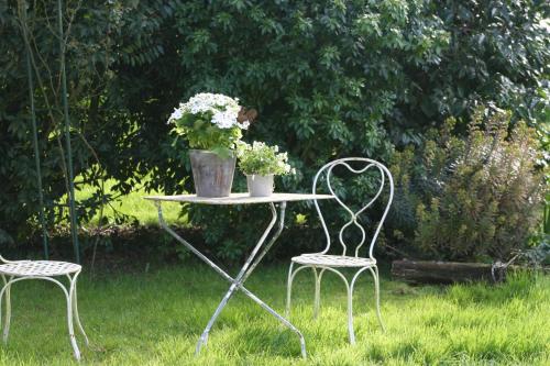 two chairs and a table with a potted plant on it at Domaine de la Fouardière in Mulsans