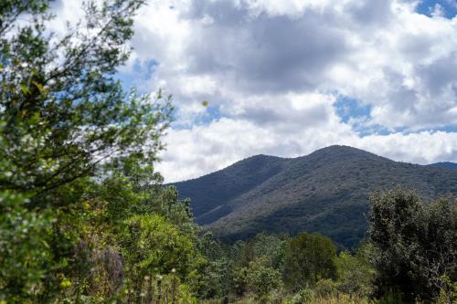Foto dalla galleria di Cielito Lindo Hotel Boutique 
