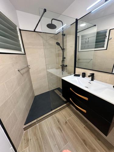 a bathroom with a shower and a sink and a mirror at Ti Bel Soley climatisé vue mer avec réservoir d'eau in Saint-François