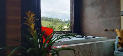 Fotografie z fotogalerie ubytování Chale Da Terra Brasil, Piscina, Hidro dupla, lareira, vista espetacular v destinaci Santo Antônio do Pinhal