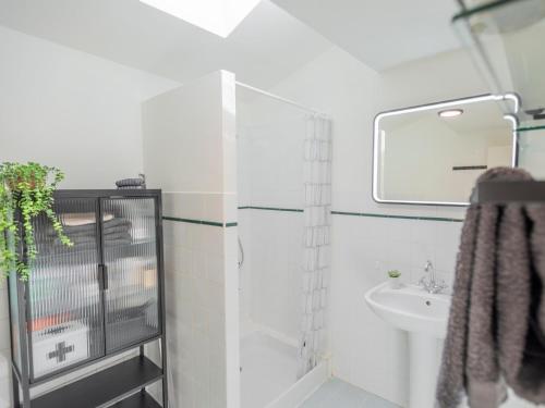 une salle de bain avec douche et lavabo dans l'établissement Gite Foussimagne, à Sérignac