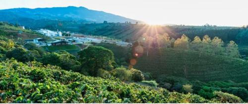 Příroda nedaleko apartmánu