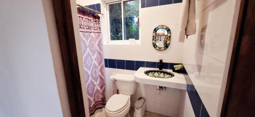 a bathroom with a toilet and a sink at MINI PINI BIRD WATCHING AND CENOTE Loft in Cozumel