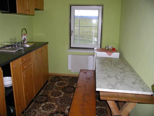 a green kitchen with a sink and a window at Penzion Dreveník in Spišské Podhradie